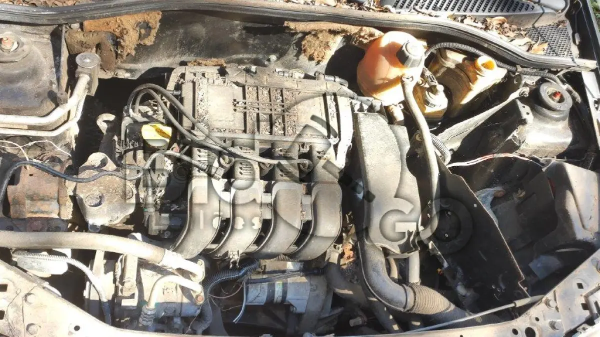 LOTE 014 - Espécie: PASSAGEIRO / Marca: RENAULT / Modelo: CLIO RT 1.0 16V / Placa: ILA7252 / UF: RS / Município: São Marcos / Ano fabricação: 2002 / Ano modelo: 2003 / Cor: PRETA / Chassi: 93YLB06253J393425 / Motor: D4DA700Q050045 / RENAVAM: 00797971505