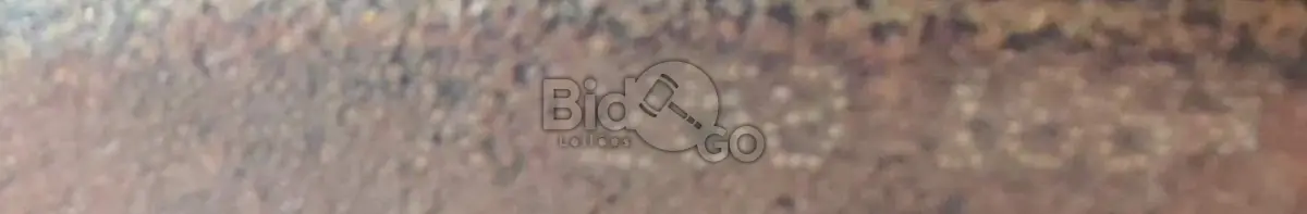 LOTE 005 - Espécie: PASSAGEIRO / Marca: VW / Modelo: GOL 16V / Placa: IJF3817 / UF: RS / Município: Gravataí / Ano fabricação: 1999 / Ano modelo: 2000/ Cor: BRANCA Chassi: 9BWZZZ373YT104613 / Motor: AFR258188 / RENAVAM: 00727377051