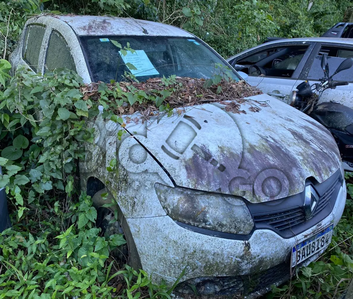 LOTE 004 - Espécie: PASSAGEIRO / Marca: RENAULT / Modelo: SANDERO AUTH 10 / Placa: BAU8I84 / UF: SC / Município: Joinville / Ano fabricação: 2016 / Ano modelo: 2016 / Cor: BRANCA / Chassi: 93Y5SRD04GJ549836 / Motor:D4DJ754Q191531 RENAVAM: 01098632670