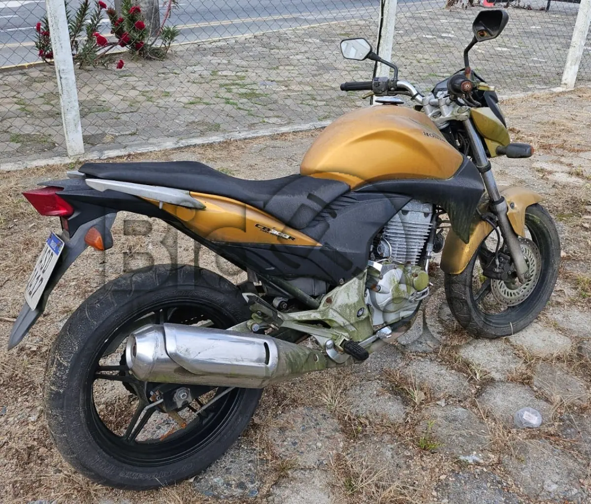 LOTE 015 - Espécie: MOTOCICLETA / Marca: HONDA / Modelo: CB 300R / Placa: ASD2A17 / UF: SC / Município: Jaraguá do Sul / Ano fabricação: 2009 / Ano modelo: 2010 / Cor: AMARELA / Chassi: 9C2NC4310AR038332 / Motor: NC43E1A038332 / RENAVAM: 00189968532