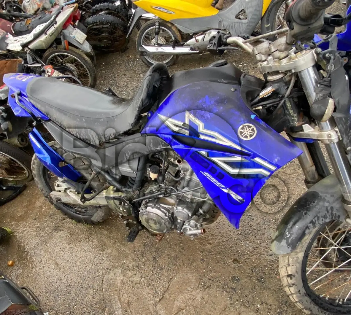 LOTE 021 - Espécie: PASSAGEIRO / Marca: YAMAHA / Modelo: XT 660R / Placa: MCT5113 / UF: SC / Município: Indaial / Ano fabricação: 2005 / Ano modelo: 2005 / Cor: AZUL / Chassi: 9C6KM003050000770 / Motor: M307E000824 / RENAVAM: 00854909877