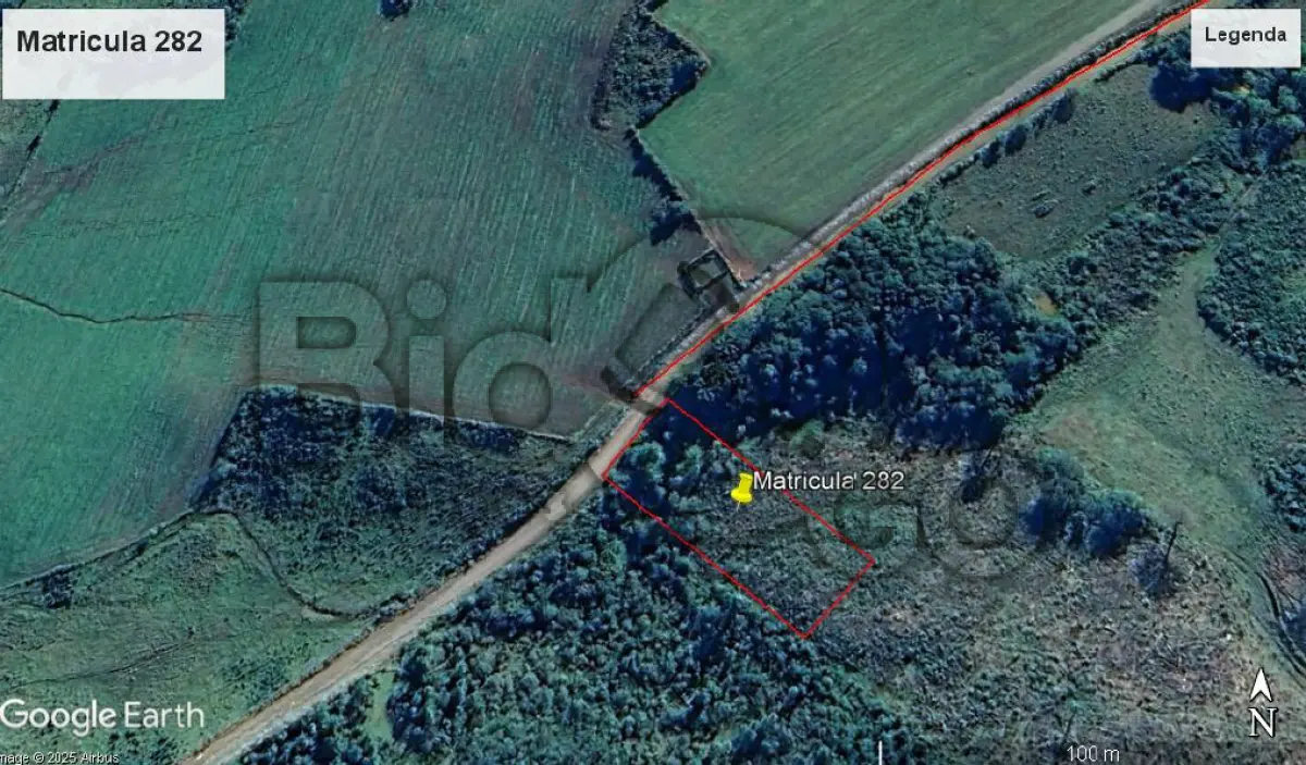 LOTE 019 - Imóvel rural, matriculado sob nº 282