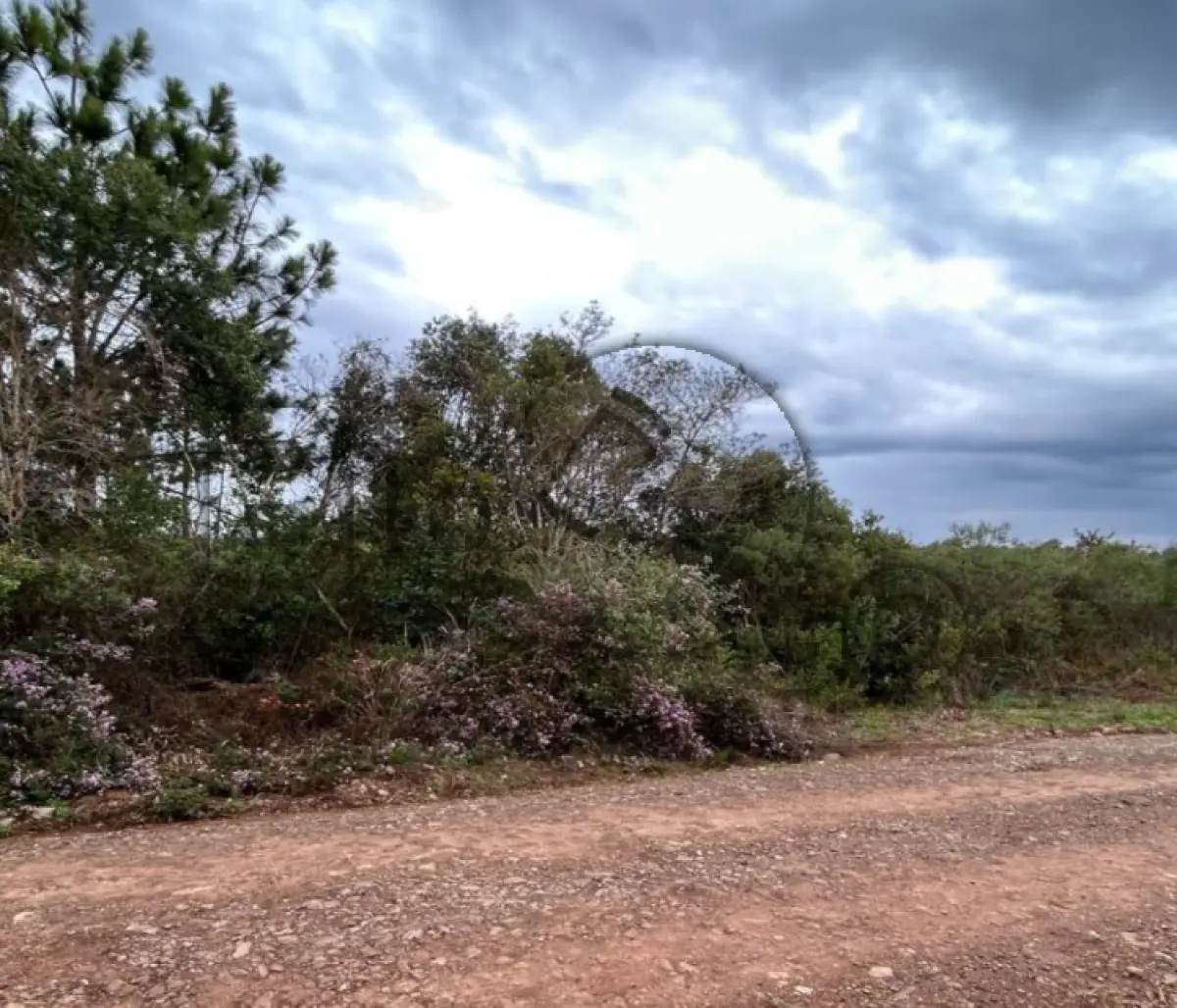 LOTE 019 - Imóvel rural, matriculado sob nº 282