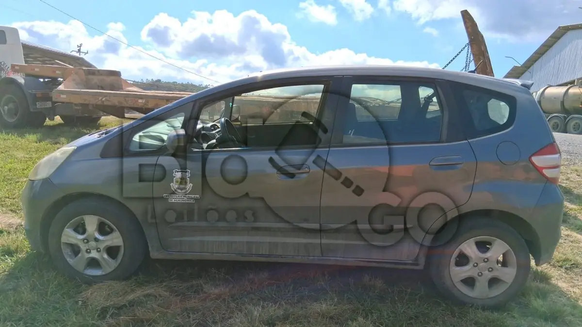 LOTE 009 - HONDA/FIT LX FLEX, Fabricação/Modelo: 2009/2009