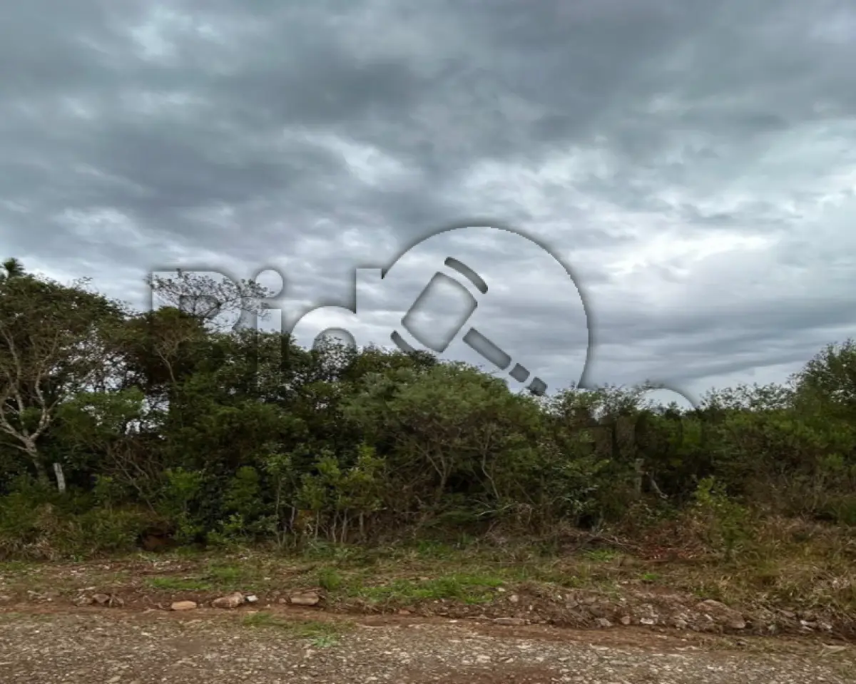 LOTE 019 - Imóvel rural, matriculado sob nº 282