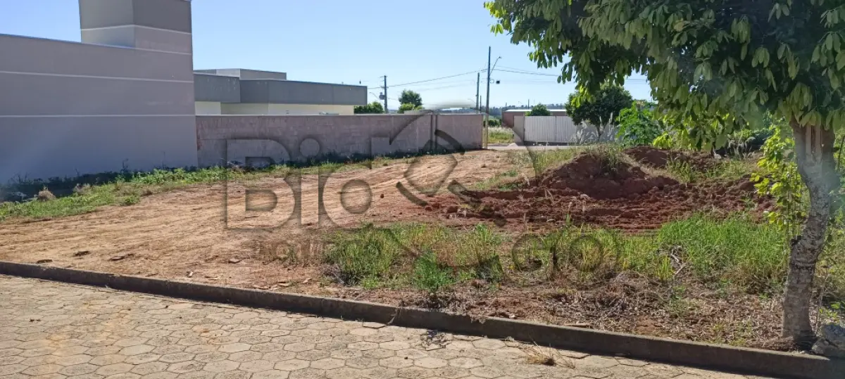LOTE 021 - Imóvel Urbano com 826,46m², Matrícula 8653
