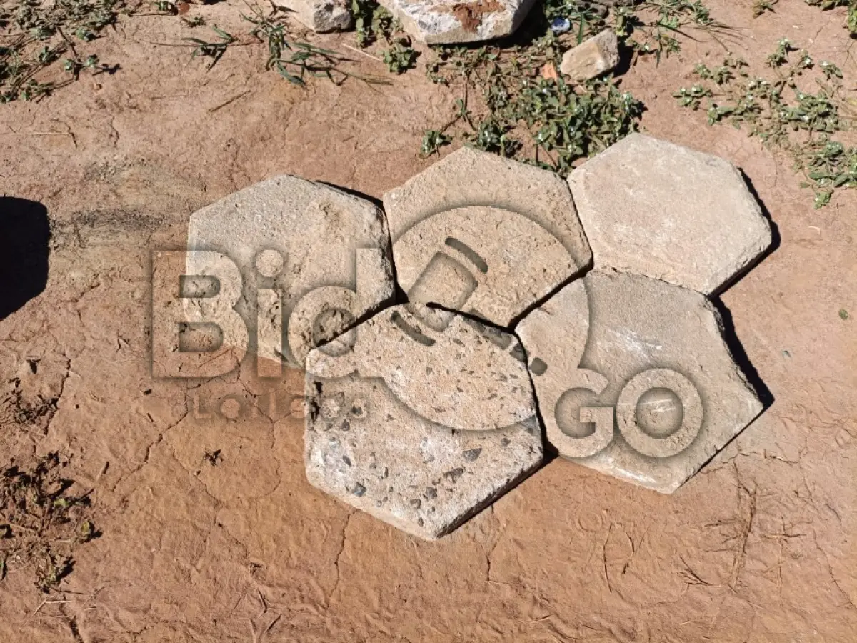 LOTE 022 - 3000m² de lajotas sextavadas
