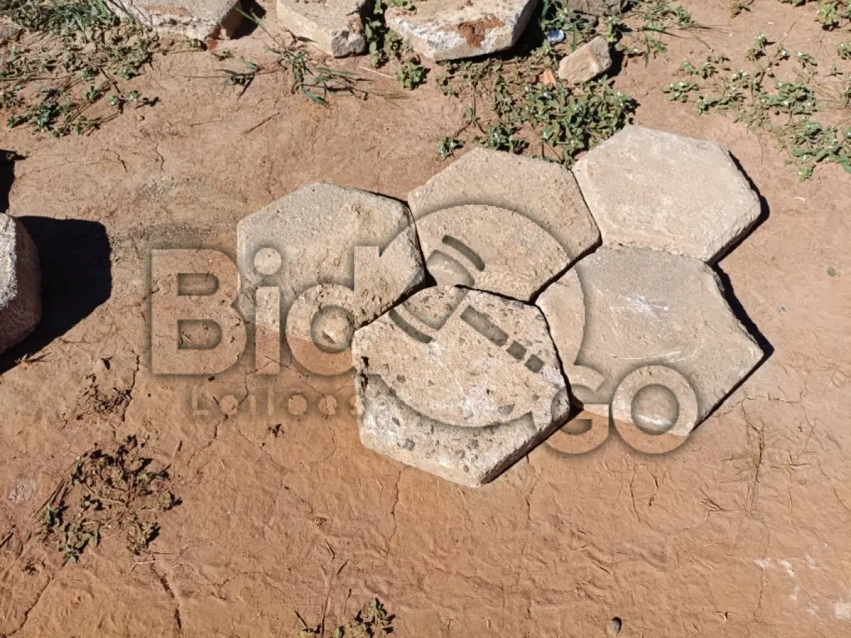 LOTE 022 - 3000m² de lajotas sextavadas