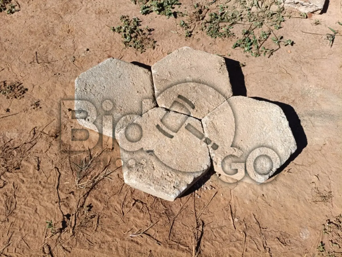 LOTE 022 - 3000m² de lajotas sextavadas