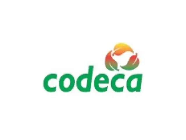 CODECA CAXIAS DO SUL - VEÍCULOS, MÁQUINAS E SUCATAS