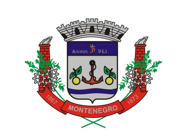 MONTENEGRO - VEÍCULOS, MÁQUINAS E SUCATAS