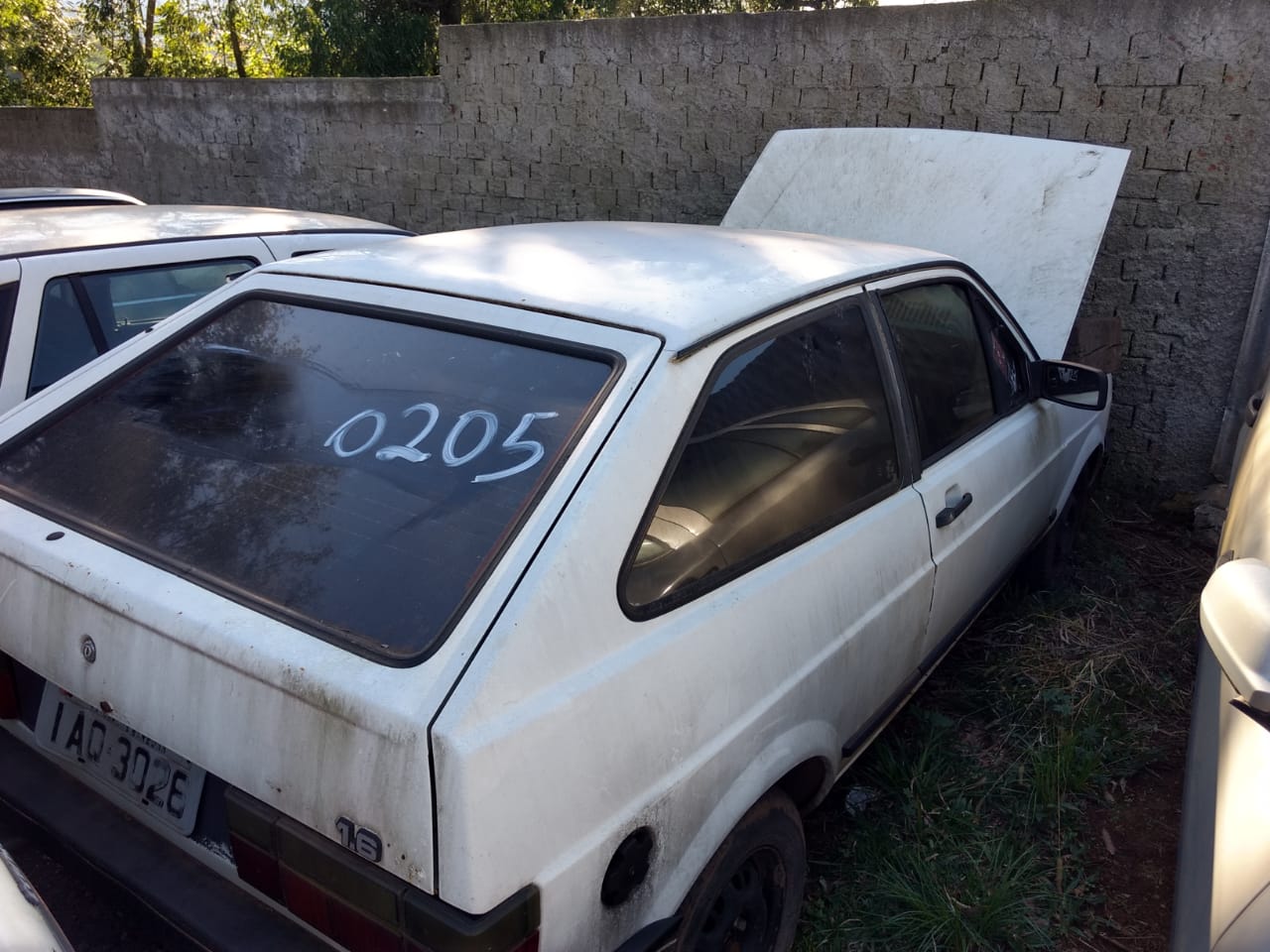 Foto 5
