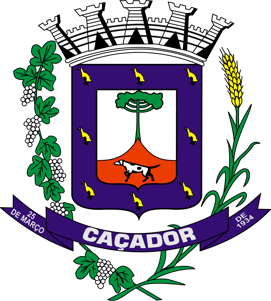 CAÇADOR/SC - VEÍCULOS, MÁQUINAS E OUTROS