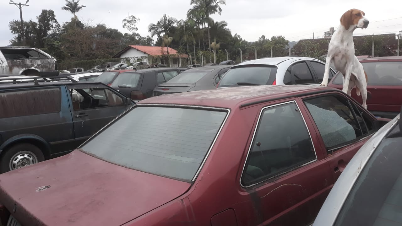 Foto 5