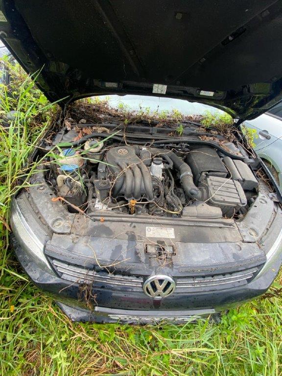 Foto 11