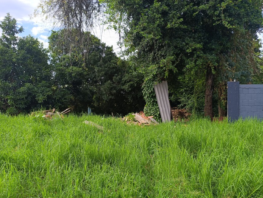 Foto 15