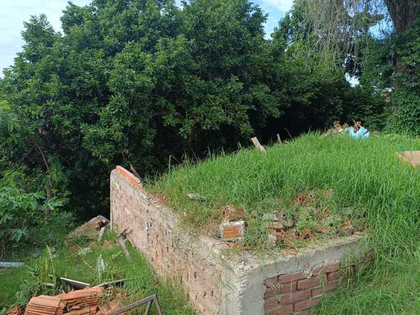 Foto 10
