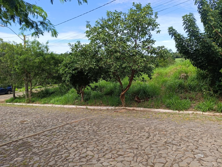 Foto 9